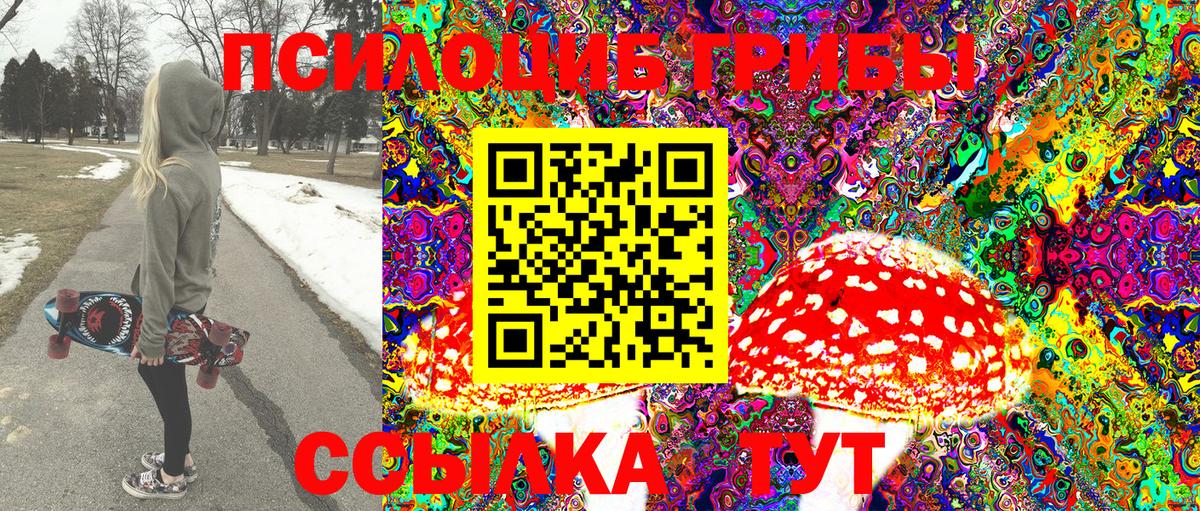 Псилоцибиновые грибы Psilocybine cubensis  Галлюциногенные грибы прущие грибы  Вход с VPN  Краснодар 