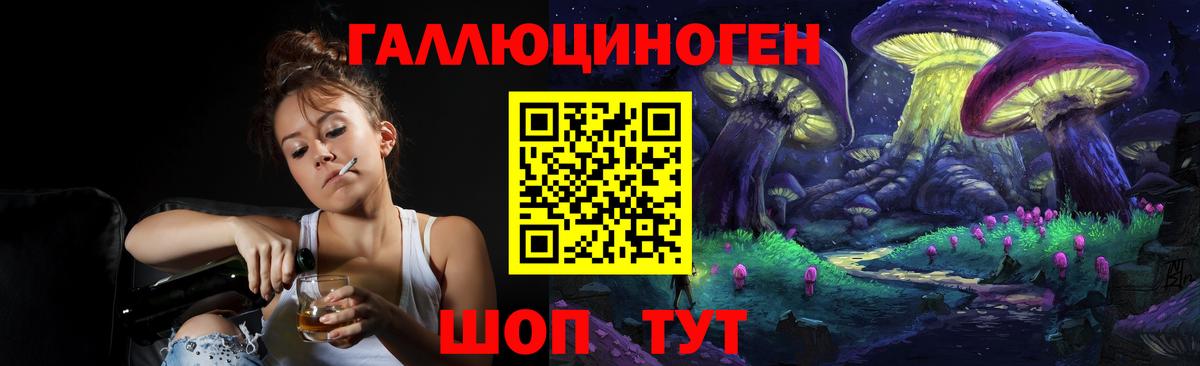 Псилоцибиновые грибы GOLDEN TEACHER Краснодар